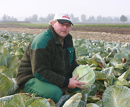 Matthias Schumacher mit Weisskohl