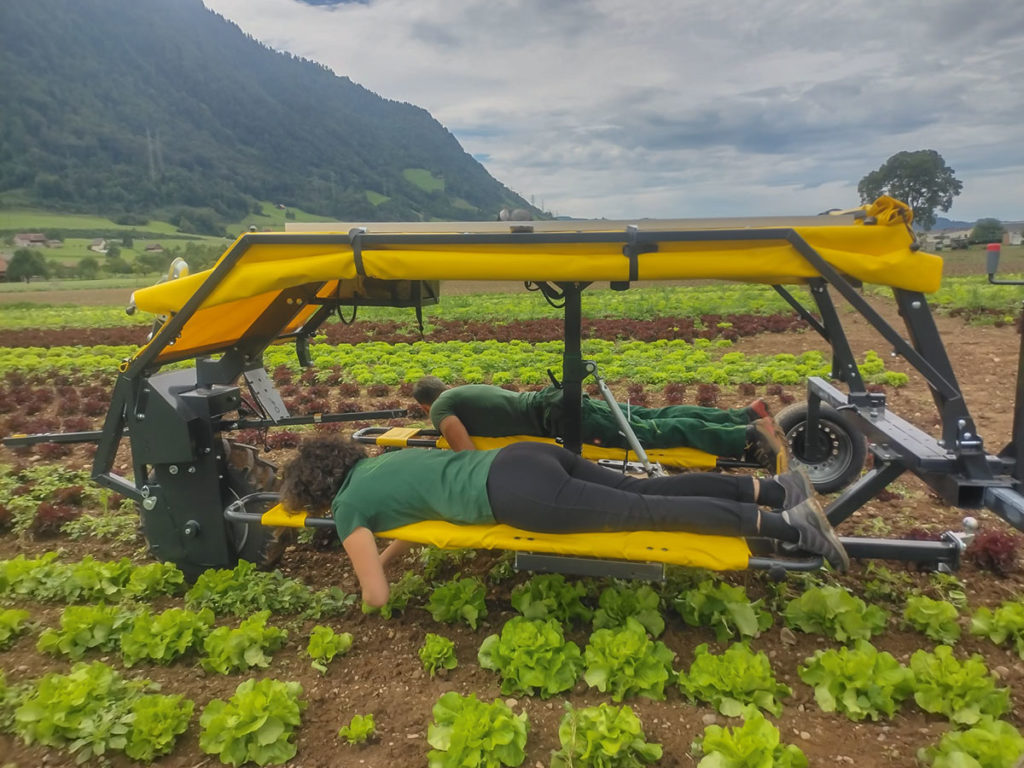 Das Jäten auf dem Jäte-Flieger der Fieldworkers kann auf die Personen abgestimmt werden.