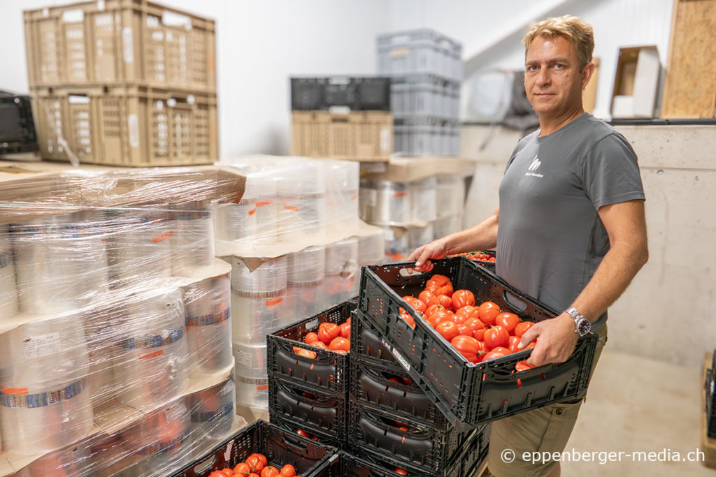 Aus unverkäuflichen Tomaten werden Saucen hergestellt.